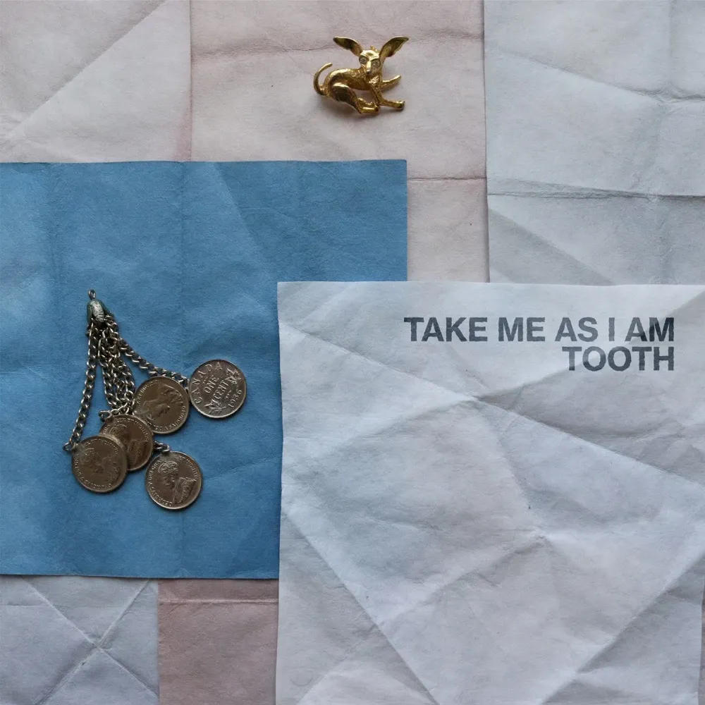 Tooth - Take Me As I Am cover art