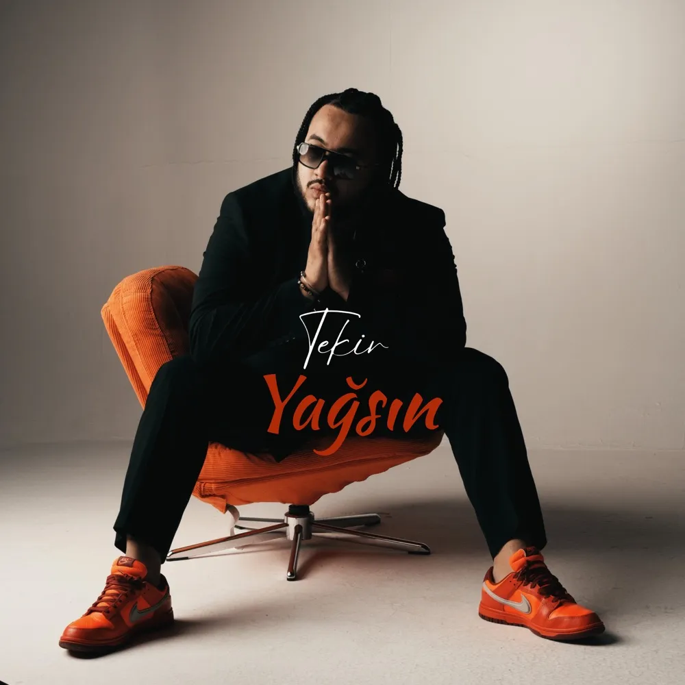 Tekir - Yağsın cover art