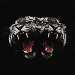 Royal Blood – Swallow The Bomb